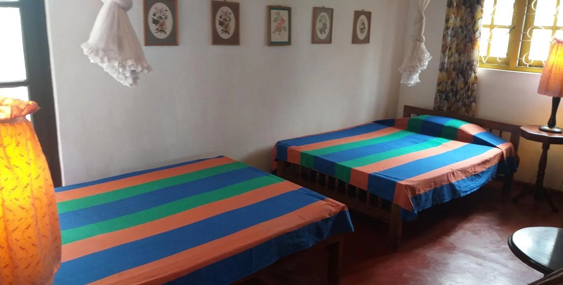 The Icebear Guesthouse Negombo