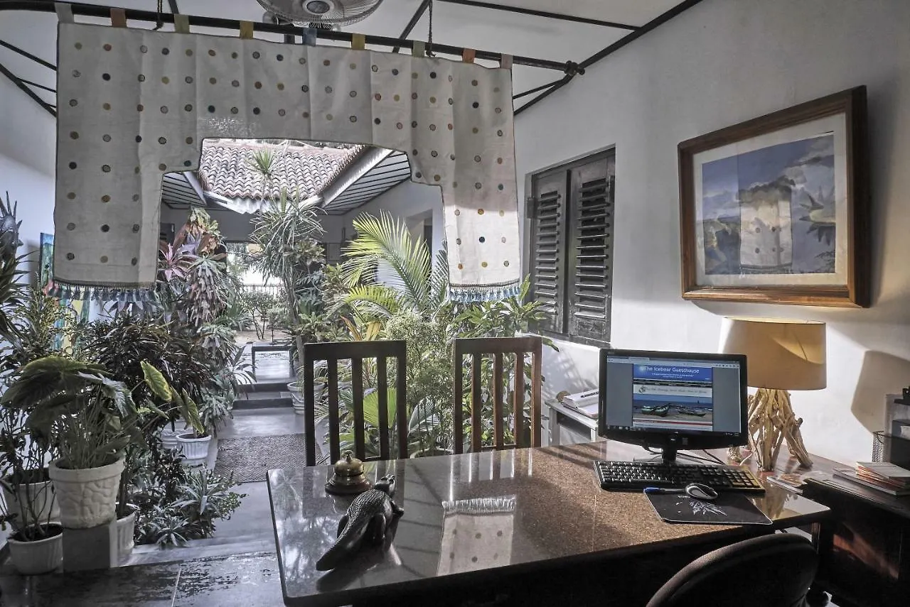 The Icebear Guesthouse Negombo Guest house