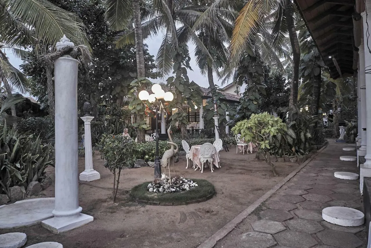 The Icebear Guesthouse Negombo