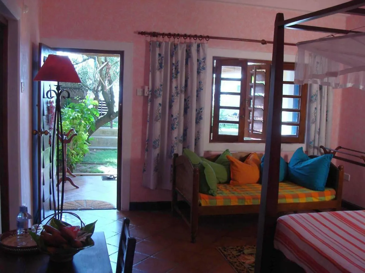 The Icebear Guesthouse Negombo Sri Lanka