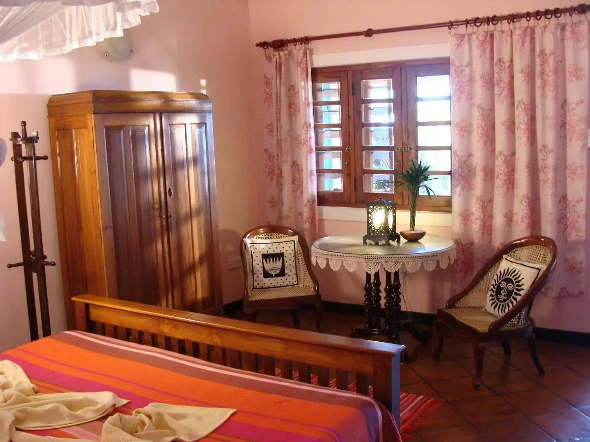 The Icebear Guesthouse Negombo Guest house