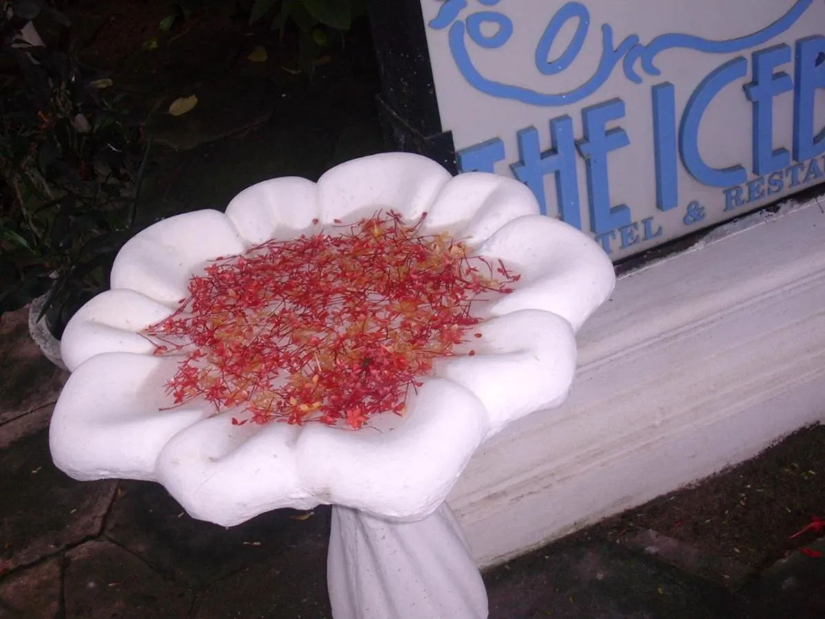 *** Guest house The Icebear Guesthouse Negombo Sri Lanka