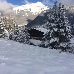 ** Hotel Chalet-hotel Starlight France